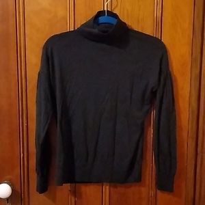 Ann Taylor Merino Wool Turtleneck